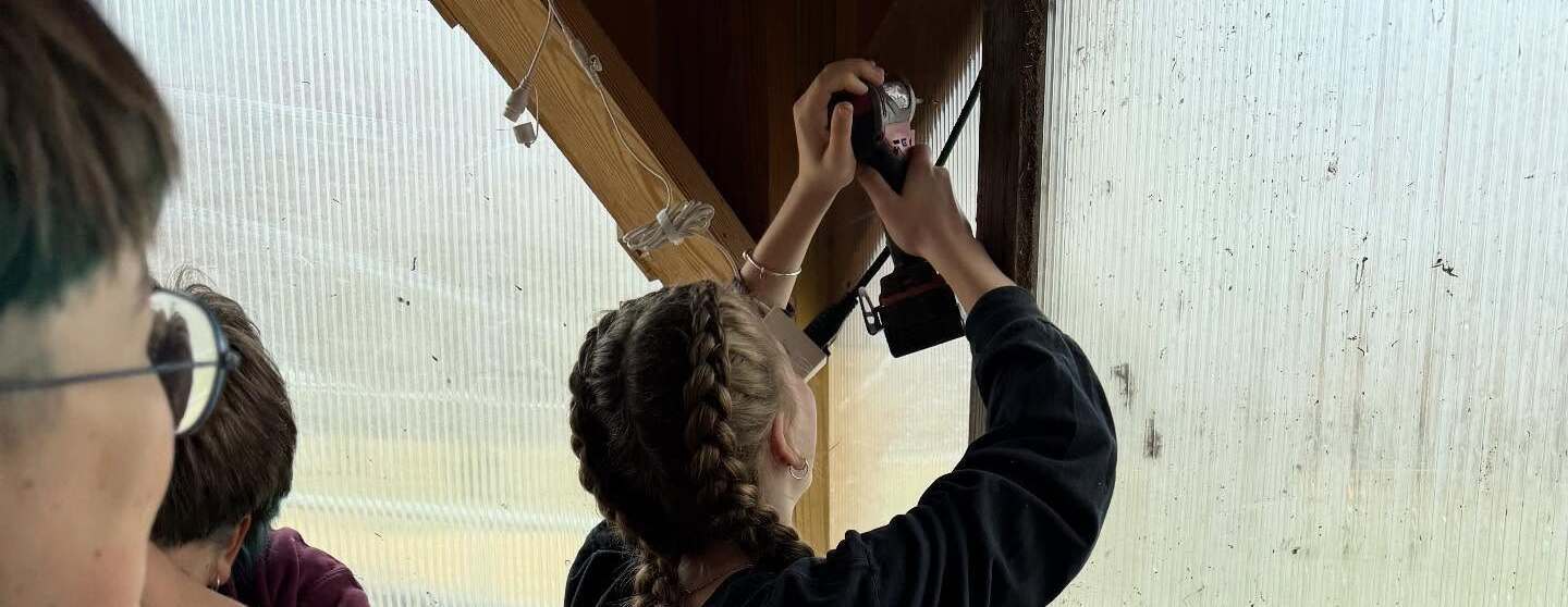 Fall Volunteer Day!